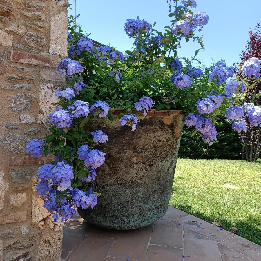Casale1918 Bed & Breakfast Pietrasanta Luaran gambar